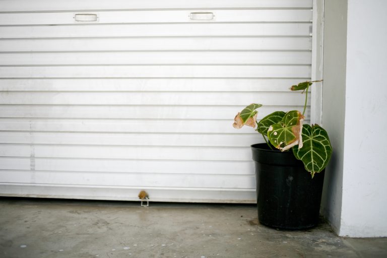 pour montrer comment empêcher l'eau de passer sous une porte de garage plante en plastique à côté
