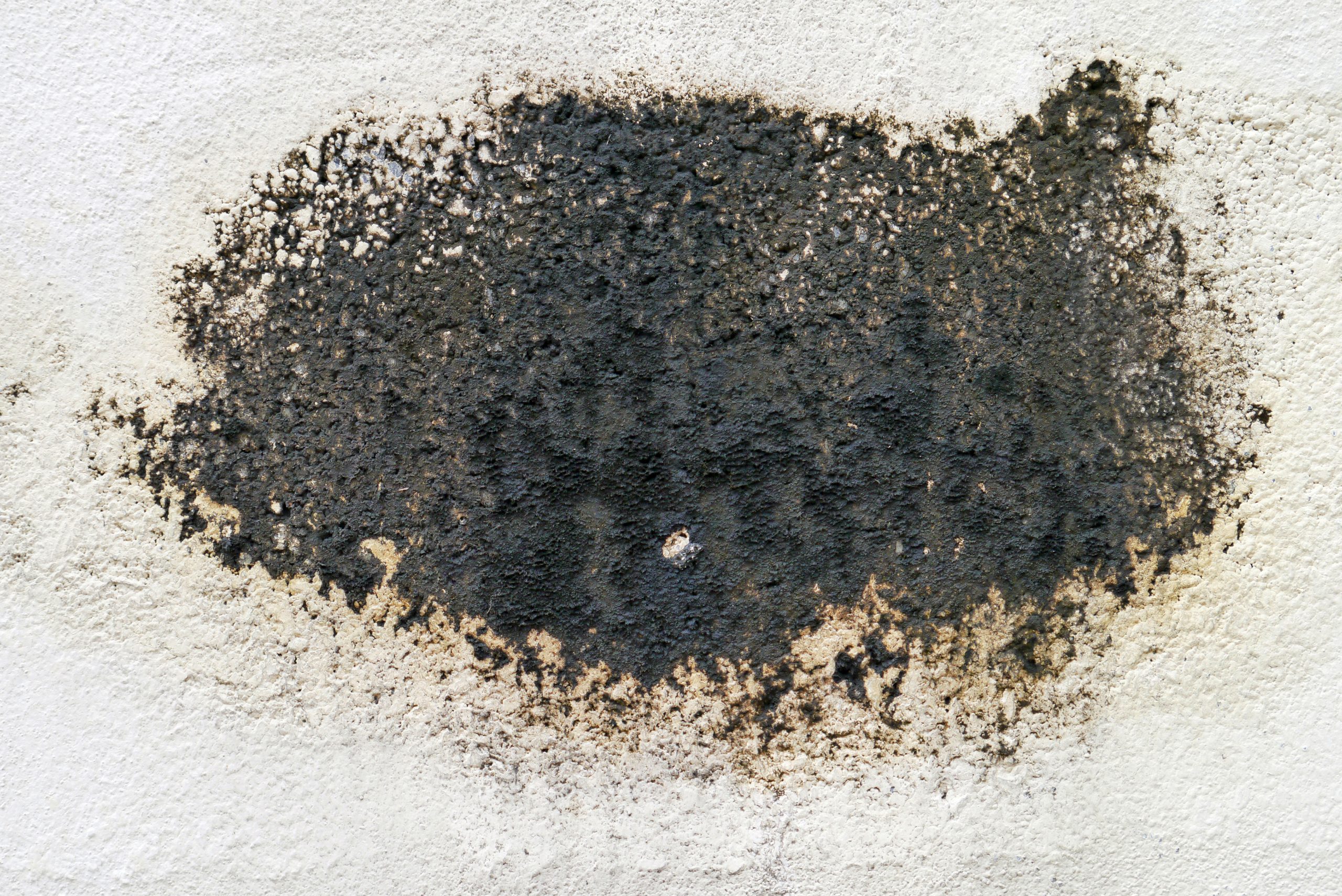 moisissure noire sur un mur extérieur