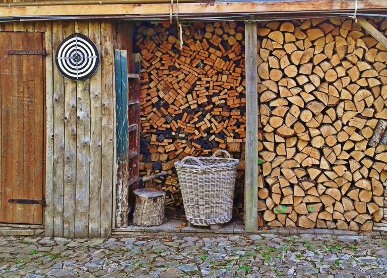 un jeune bûcheron stockant des bûches de bois densifiés ou compressés dans une petite maison en bois pour avoir se chauffer pour l'hiver