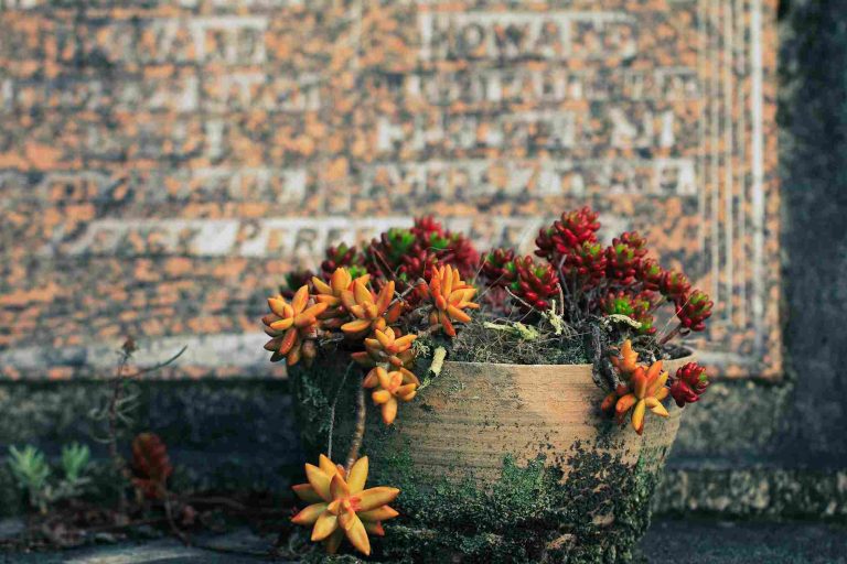 un pot de fleur devant une pierre tombale avec les étapes sur comment nettoyer le bronze sur les plaques funéraires pour son proche défunt